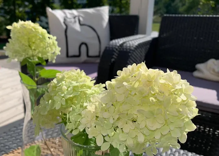 Lilla House * 萨希诺